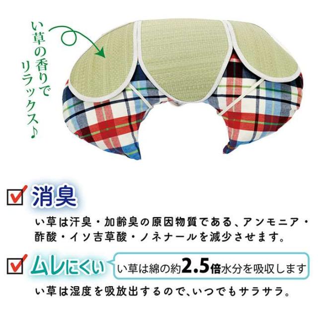 代引不可 クッション 五体さらっとクッション 約48×80cm くつろぎ サポート よりかかりクッション い草カバーつき  IKEHIKO 7712400_2