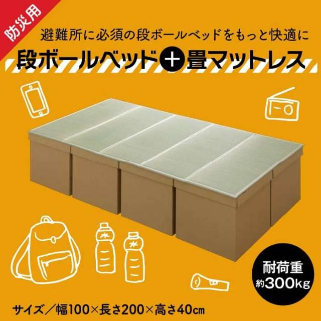 代引不可 防災 避難 備え ダンボールベッド 畳マットレス 100×200cm 5連 避難所 防災用 耐荷重300kg 天然イ草使用 IKEHIKO 8633809_1