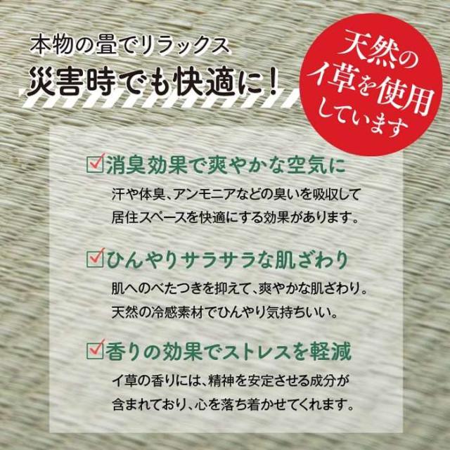 代引不可 防災 避難 備え ダンボールベッド 畳マットレス 100×200cm 5連 避難所 防災用 耐荷重300kg 天然イ草使用 IKEHIKO 8633809_2