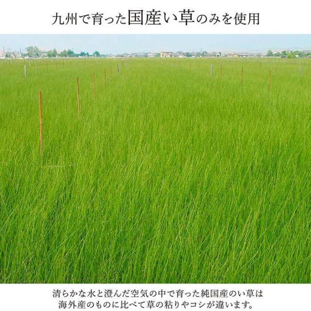 代引不可 い草 敷物 カーペット グリーン イ草ラグ 本間8畳 約382×382cm 純国産 日本製 掛川織 花ござ 青森ヒバ加工 モダン  IKEHIKO 4412718_4