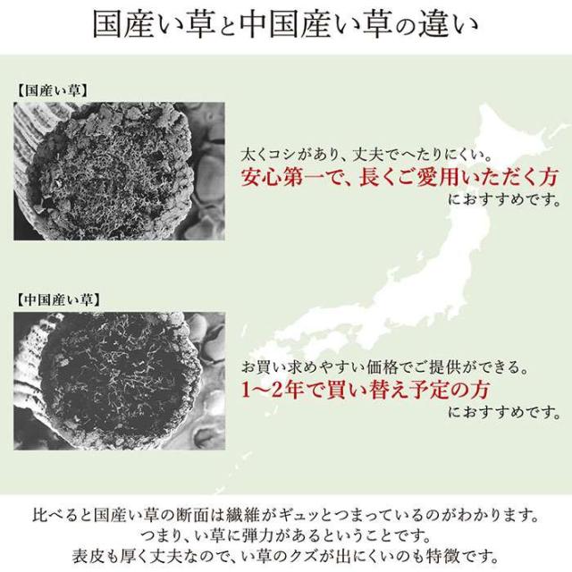 代引不可 い草 敷物 カーペット グリーン イ草ラグ 本間8畳 約382×382cm 純国産 日本製 掛川織 花ござ 青森ヒバ加工 モダン  IKEHIKO 4412718_5