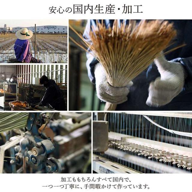 代引不可 い草 敷物 カーペット グリーン イ草ラグ 本間8畳 約382×382cm 純国産 日本製 掛川織 花ござ 青森ヒバ加工 モダン  IKEHIKO 4412718_6