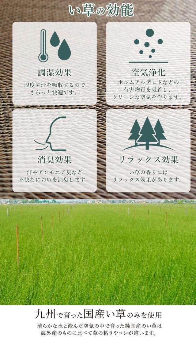代引不可 ラグ 長方形 国産 ブラウン 約191×300cm 日本製 ナチュラルスタイル い草 消臭 抗菌防臭 滑り止め 防炎 IKEHIKO DXNA300_5