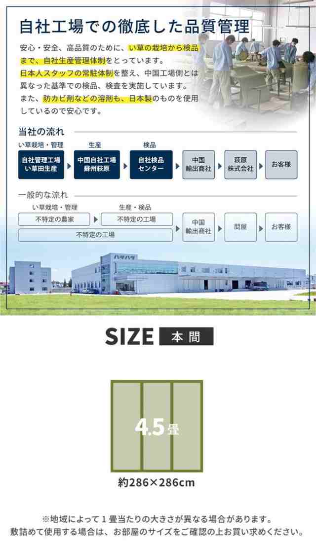 北海道・沖縄・離島配送不可 代引不可 い草カーペット 柳川 286ｘ286cm 本間4.5畳 い草ラグ イ草カーペット 上敷き 敷き詰めタイプ 和 ご