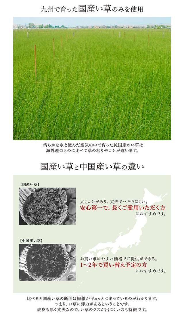 代引不可 敷物 花ござ 江戸間10畳 約435×352cm 国産 純国産 日本製 い草 モダン 抗菌防臭 自然素材 パッチワーク風 裏なしタイプ IKEHIKO KS435352