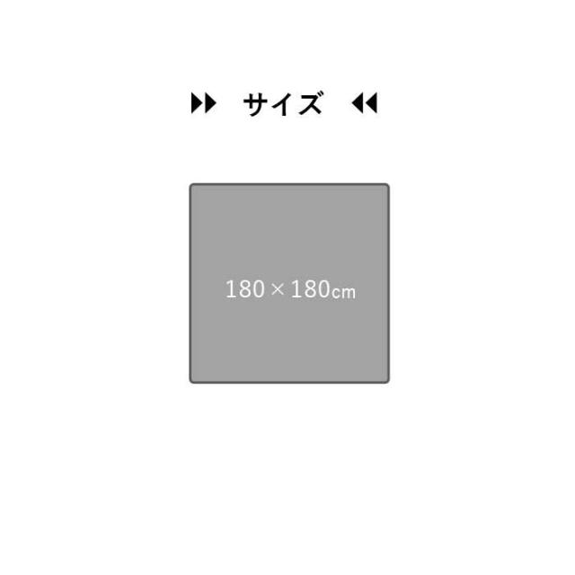 代引不可 引っ敷き 格好のいい まっ四角 約180×180糎 オール時季 上滑り打ちきり 透け透け ギャッベ IKEHIKO G9817670