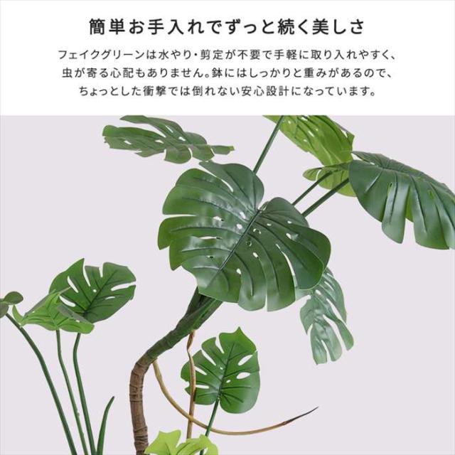 北海道・沖縄・離島配送不可 代引不可 お手入れ簡単フェイクグリーン モンステラ Lサイズ 180cm 観葉植物 人工 フェイク 人工観葉植物 ホームテイスト SH-06-MON-L_3