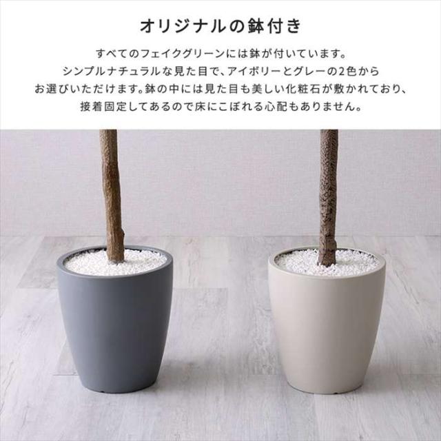 北海道・沖縄・離島配送不可 代引不可 お手入れ簡単フェイクグリーン モンステラ Lサイズ 180cm 観葉植物 人工 フェイク 人工観葉植物 ホームテイスト SH-06-MON-L_5
