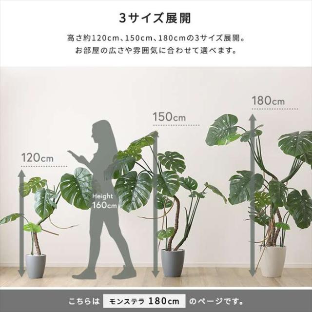 北海道・沖縄・離島配送不可 代引不可 お手入れ簡単フェイクグリーン モンステラ Lサイズ 180cm 観葉植物 人工 フェイク 人工観葉植物 ホームテイスト SH-06-MON-L_7
