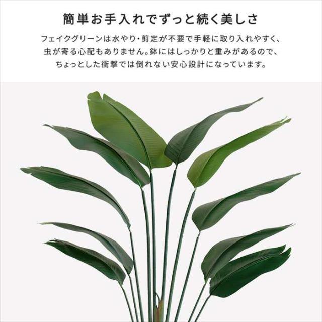 北海道・沖縄・離島配送不可 代引不可 お手入れ簡単フェイクグリーン ストレリチア Sサイズ 120cm 観葉植物 人工 フェイク 人工観葉植物 ホームテイスト SH-06-STR-S_3