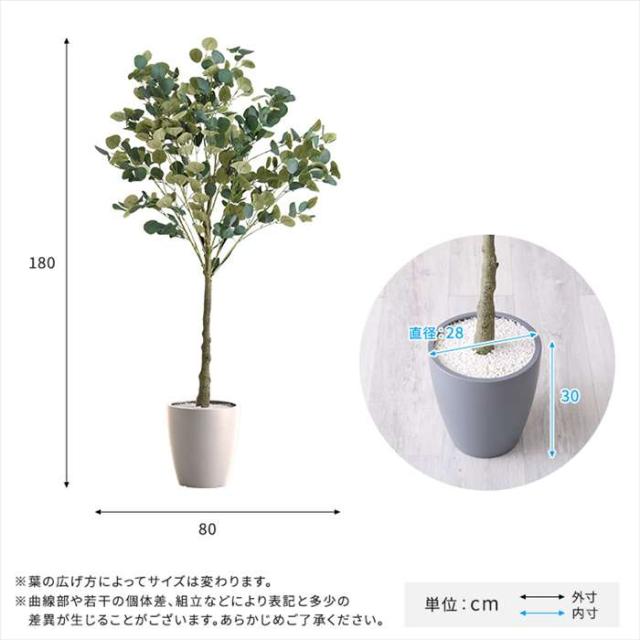 北海道・沖縄・離島配送不可 代引不可 お手入れ簡単フェイクグリーン ユーカリ Lサイズ 180cm 観葉植物 人工 フェイク 人工観葉植物 ホームテイスト SH-06-EUC-L_1