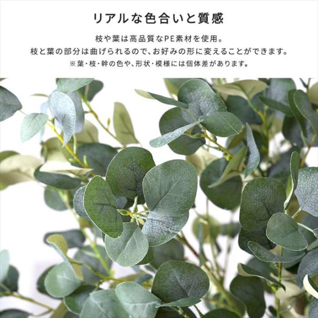 北海道・沖縄・離島配送不可 代引不可 お手入れ簡単フェイクグリーン ユーカリ Lサイズ 180cm 観葉植物 人工 フェイク 人工観葉植物 ホームテイスト SH-06-EUC-L_4