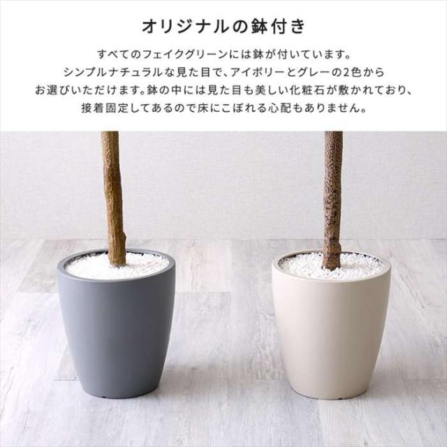 北海道・沖縄・離島配送不可 代引不可 お手入れ簡単フェイクグリーン ユーカリ Lサイズ 180cm 観葉植物 人工 フェイク 人工観葉植物 ホームテイスト SH-06-EUC-L_5