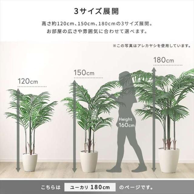 北海道・沖縄・離島配送不可 代引不可 お手入れ簡単フェイクグリーン ユーカリ Lサイズ 180cm 観葉植物 人工 フェイク 人工観葉植物 ホームテイスト SH-06-EUC-L_7