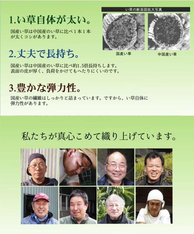 代引不可 純国産 い草花ござ 飛鳥 ブラウン 江戸間4.5畳(約261×261cm） IKEHIKO 1081790060502_5