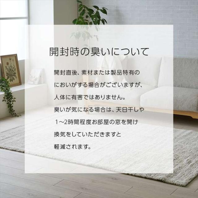 代引不可 カーペット ウィルトンカーペット ホワイトインテリア ナチュラル アイボリー 約160×230cm IKEHIKO 1321630140401_8