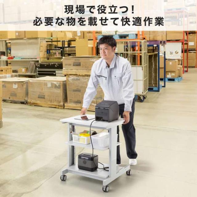 即納 代引不可 マルチカート（H700） サンワサプライ RAC-MULTCT6_2
