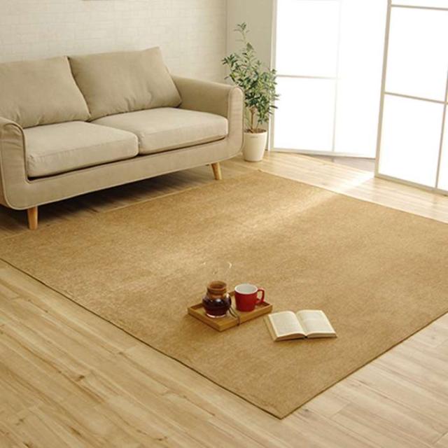 代引不可 ラグ カーペット 約200×250cm シェニール織 撥水 無地 シンプル 滑りにくい 薄い ホットカーペット・床暖房対応 洗濯機で丸洗いOK モデルノ IKEHIKO 4599039