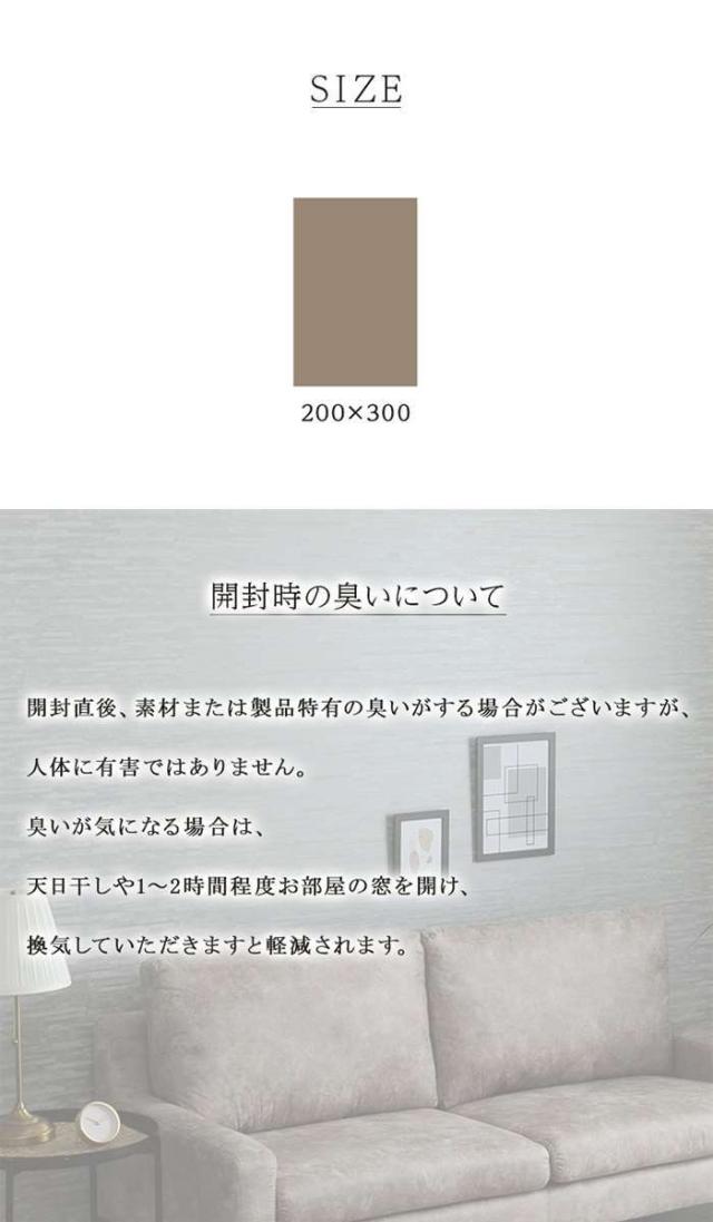 代引不可 カーペット 約200×300cm 絨毯 ラグ 高級ラグ ウィルトン織 クラシック柄 IKEHIKO 1321180280701_2