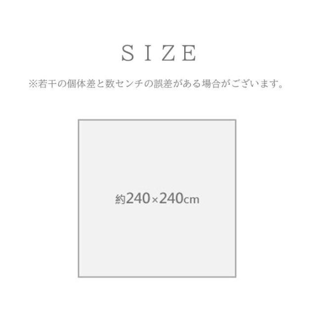 代引不可 敷物 ラグ（ウィルトン） ディオーネ BE 240×240cm ベージュ IKEHIKO 1322060020801_4