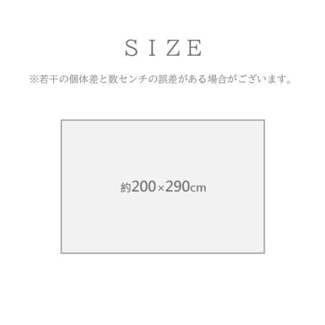 代引不可 敷物 ラグ（ウィルトン） ブルジオ IV 200×290cm アイボリー IKEHIKO 1322280142001