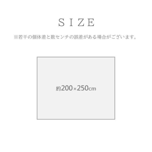 代引不可 敷物 ラグ（ウィルトン） ブルジオ BK 200×250cm ブラック  IKEHIKO 1322280030601_5