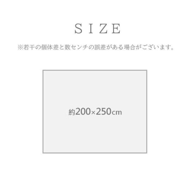 代引不可 敷物 ラグ（ウィルトン） ビューネイ MIX 200×250cm ミックス IKEHIKO 1322290300601_4