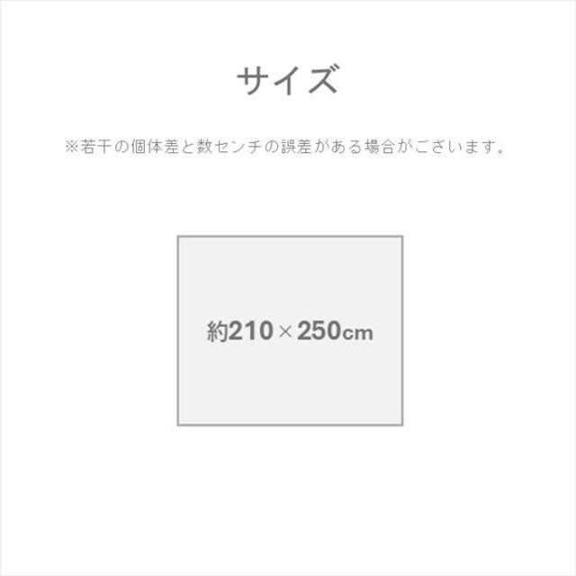 代引不可 い草ラグ イ草ラグ 敷物 DXラテール グリーン 210×250cm インテリア 新生活 IKEHIKO 1052200126204_3