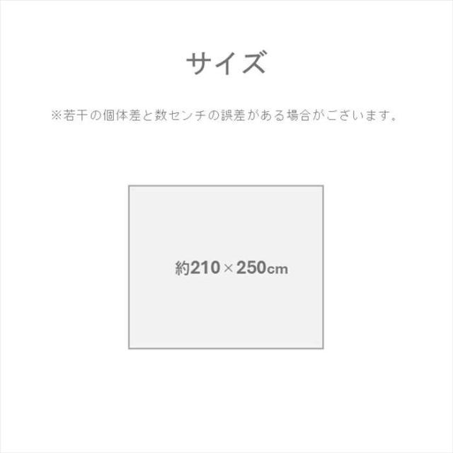 代引不可 い草ラグ イ草ラグ 敷物 DXセルテ ブルー 210×250cm インテリア 新生活 IKEHIKO 1052220046204_3