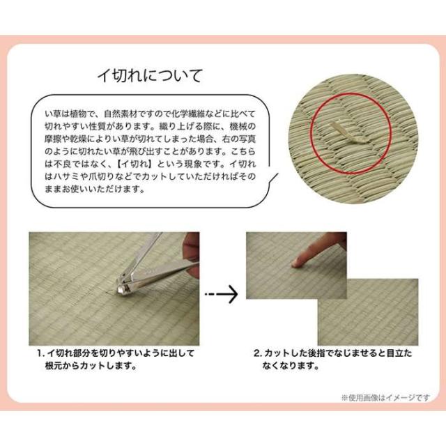 代引不可 ラグ  持続性抗菌剤 KOBA-GUARD 制菌 抗菌防臭 滑り止め 不織布 夏 い草 グラデーション ブルー 約190×250cm IKEHIKO 1060470044204_5