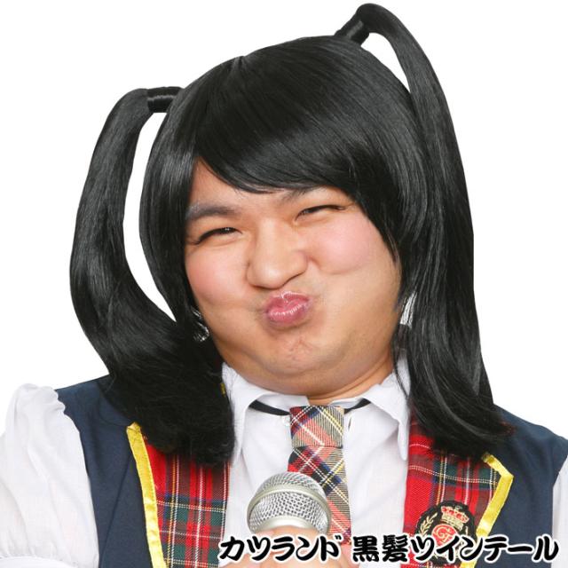カツランド 黒髪ツインテール かつら アニメ 萌え系 アイドル かぶりもの パーティ 変装 仮装 宴会 コスプレ 小道具 の通販はau Pay マーケット やるcan