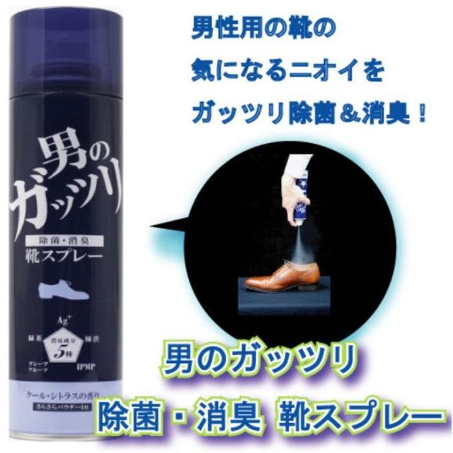 即納 靴 シューズ 消臭 除菌 メンズ 日本製 男のガッツリ除菌 消臭 靴スプレー 大容量280ml 富士パックス H912の通販はau Pay マーケット やるcan