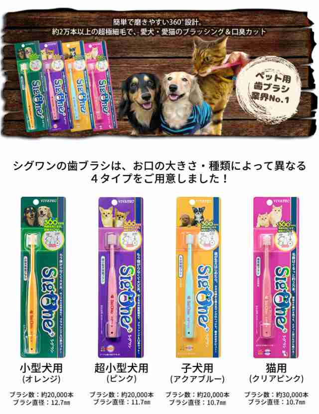 即日出荷 ペット用 犬用 歯磨き粉 sigone シグワン VIVATEC