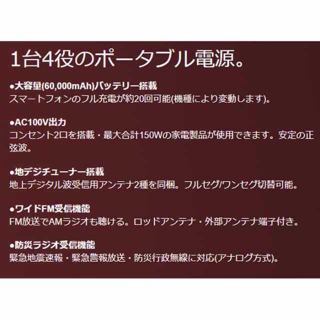 ポータブル電源 NX-PB600TV 10.1型TV搭載 ラジオ 軽重量 持ち運び 防災 地震 222Wh 正弦波 LEDライト 蓄電池 充電器 FRC NX-PB600TV-Wの通販は