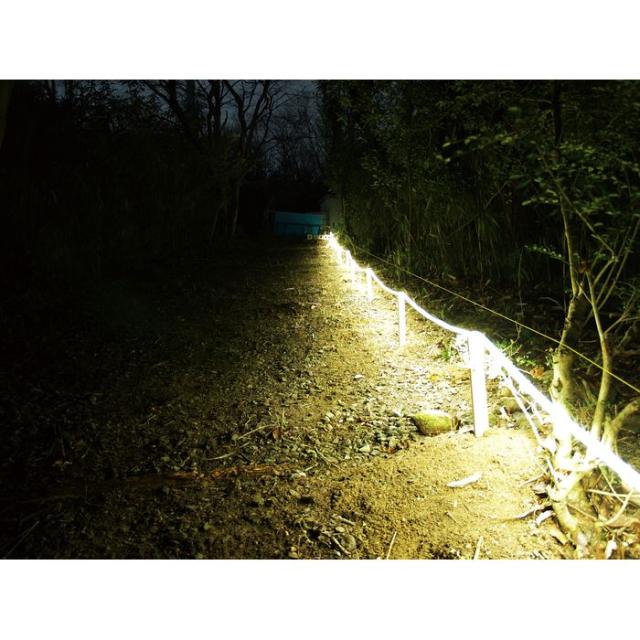 LEDロープライト　電球色 10m 照明 防犯 屋外 DIY 富士倉 FRL-WW10M_1