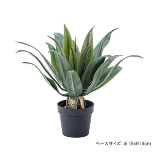 北海道 沖縄 離島配送不可 代引不可 フェイクグリーン アガベ 人工観葉植物 人工植物 造花 鉢植え インテリア 室内 装飾 東谷 Grn 14の通販はau Pay マーケット やるcan