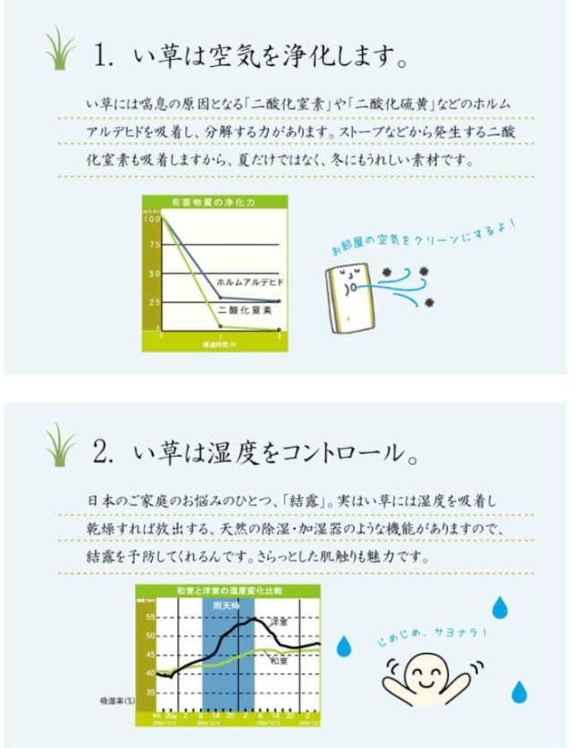 代引不可 い草 ラグ カーペット マット 純国産 正方形 約191×191cm 2畳 Fライト 格子柄 シンプルモダン 裏:ウレタン 抗菌 防臭 夏用 春夏用  日本製 IKEHIKO FLT191191_3
