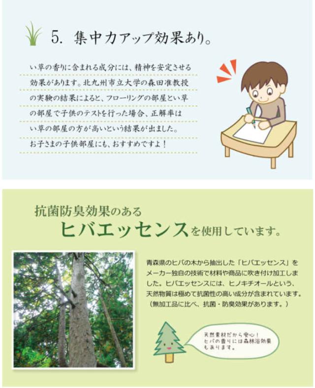 代引不可 い草 ラグ カーペット マット 純国産 正方形 約191×191cm 2畳 Fライト 格子柄 シンプルモダン 裏:ウレタン 抗菌 防臭 夏用 春夏用  日本製 IKEHIKO FLT191191_5
