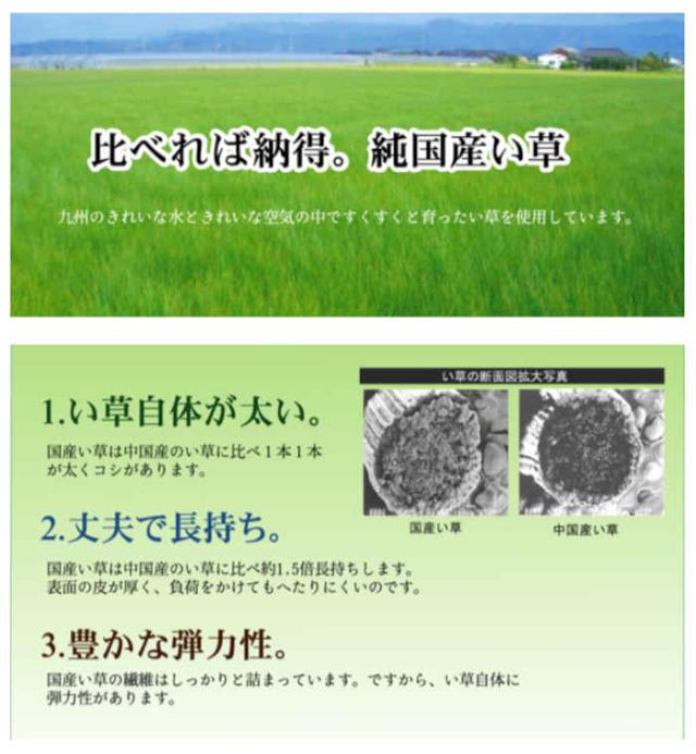 代引不可 い草 花ござ ござ 引っ敷き 引っ敷き つや消し 純国産 矩形 約174×261糎 日本の首都間3畳 アシック 奥ゆかしい調 夏用 春夏用 日本製 緑であること IKEHIKO 4111003