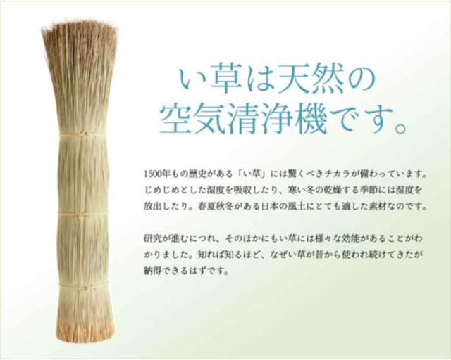 代引不可 い草 花ござ ござ 引っ敷き 引っ敷き つや消し 純国産 矩形 約174×261糎 日本の首都間3畳 アシック 奥ゆかしい調 夏用 春夏用 日本製 緑であること IKEHIKO 4111003