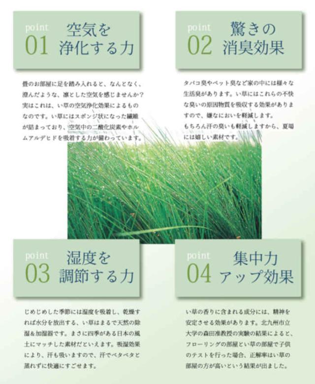 代引不可 い草 花ござ ござ 引っ敷き 引っ敷き つや消し 純国産 矩形 約174×261糎 日本の首都間3畳 アシック 奥ゆかしい調 夏用 春夏用 日本製 緑であること IKEHIKO 4111003