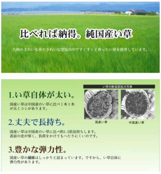 代引不可 い草カーペット ラグ マット 純国産 正方形 約261×261cm 江戸間4.5畳 掛川織 松川 青森ヒバ加工 モダン 夏用 春夏用 日本製 ベージュ IKEHIKO 4407104_3