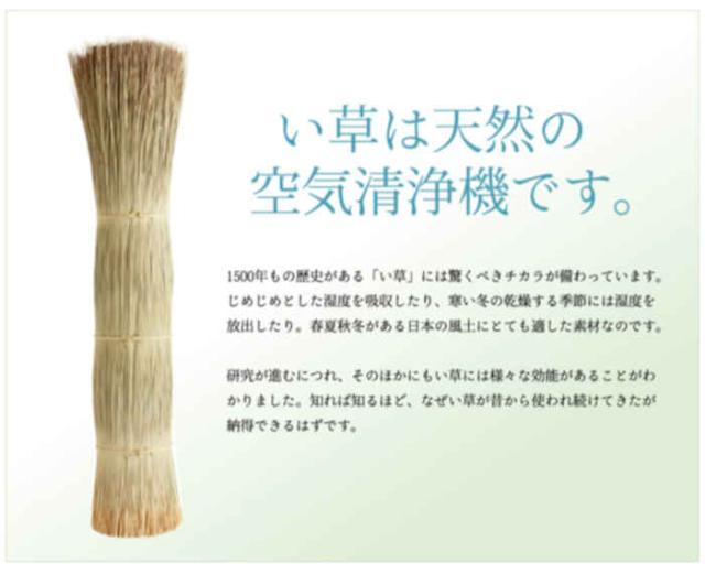 代引不可 い草カーペット ラグ マット 純国産 正方形 約261×261cm 江戸間4.5畳 掛川織 松川 青森ヒバ加工 モダン 夏用 春夏用 日本製 ベージュ IKEHIKO 4407104_5