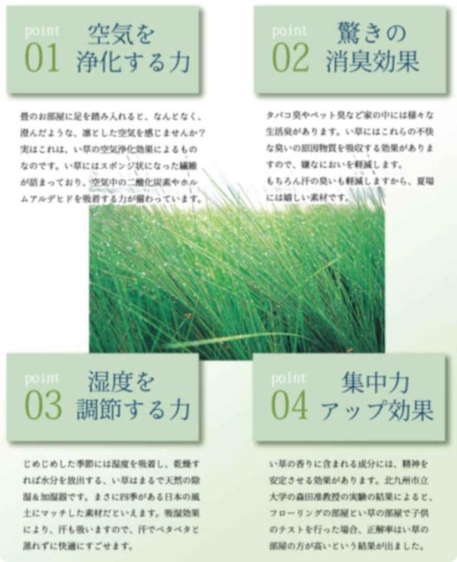 代引不可 い草カーペット ラグ マット 純国産 正方形 約261×261cm 江戸間4.5畳 掛川織 松川 青森ヒバ加工 モダン 夏用 春夏用 日本製 ベージュ IKEHIKO 4407104_6