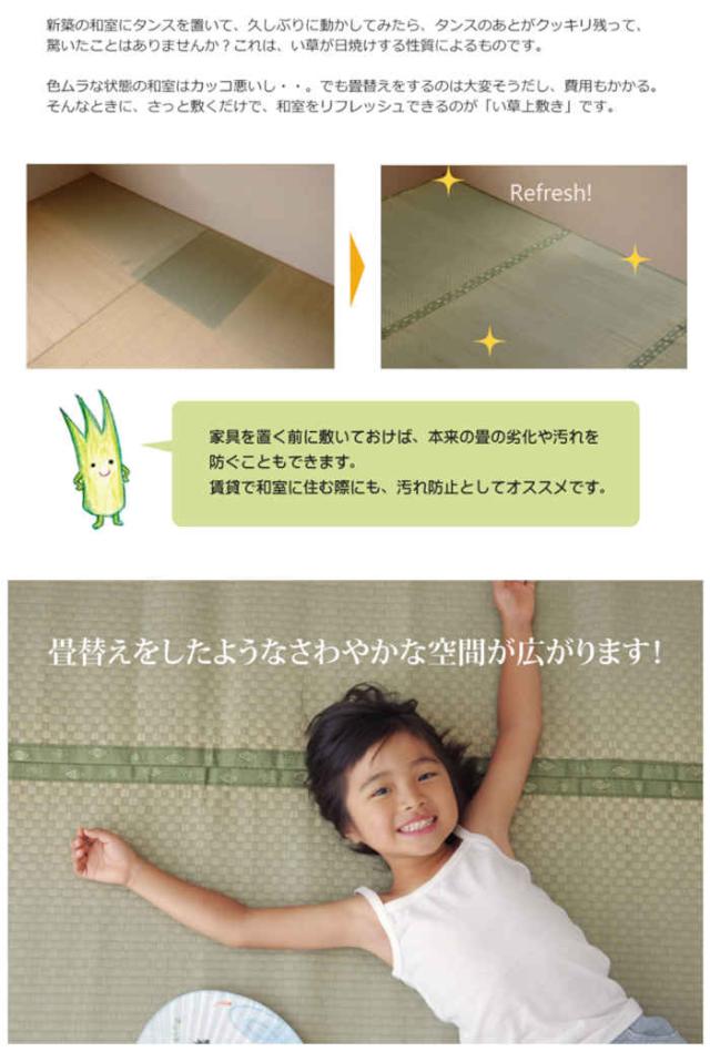 代引不可 い草 上敷き引っ敷き ござ 無償性はね除ける 日本の首都間4.5畳 約261×261糎 熊本県八代産い草当てはめる 畳の日焼や汚れた状態押しとどめるに 調湿 消臭 抗菌防臭 市松織 後ろ側ウレタン張り F不知火 国産 日本製 IKEHIKO 6305134