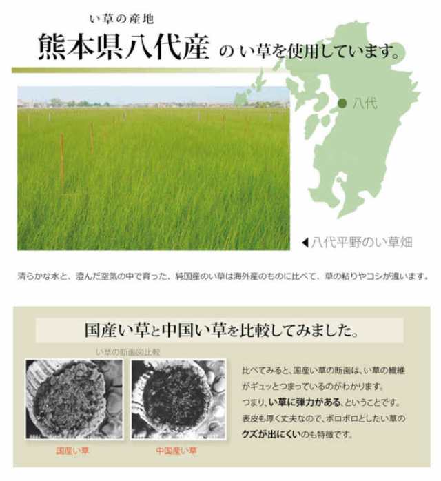 北海道・沖縄・離島配送不可 代引不可 い草 上敷きカーペット ござ