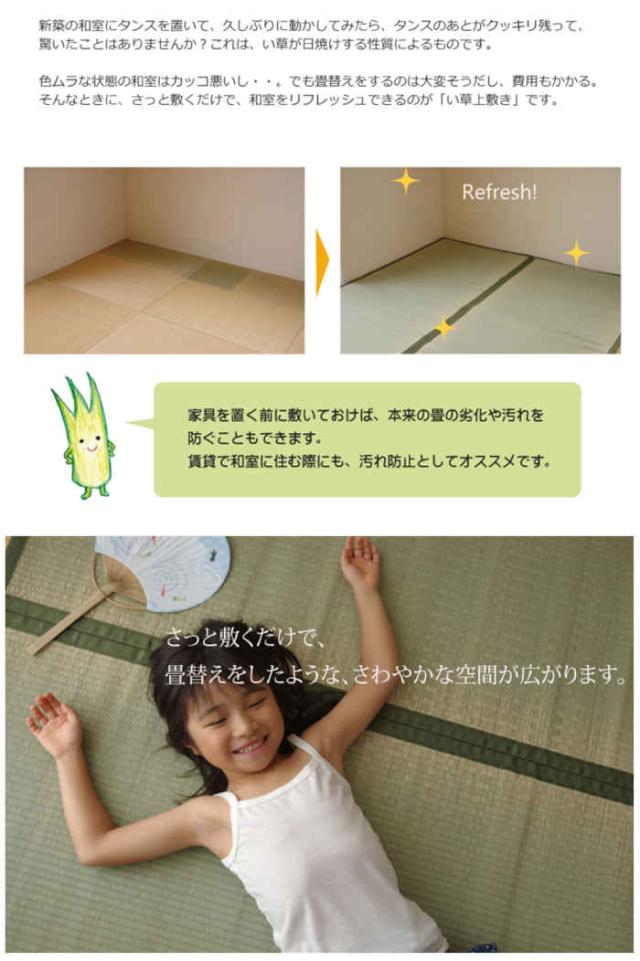 代引不可 い草 上敷き引っ敷き ござ 約261×352糎 日本の首都間6畳 畳の日焼や汚れた状態押しとどめるに 空気の状態斎戒もく浴 調湿 消臭 抗菌防臭 両面 パウダーコンパクト納める 双目織 草津 純国産 日本製 IKEHIKO 1100636