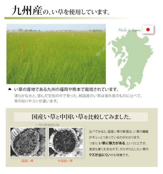 代引不可 い草 上敷き引っ敷き ござ 約261×352糎 日本の首都間6畳 畳の日焼や汚れた状態押しとどめるに 空気の状態斎戒もく浴 調湿 消臭 抗菌防臭 両面 パウダーコンパクト納める 双目織 草津 純国産 日本製 IKEHIKO 1100636