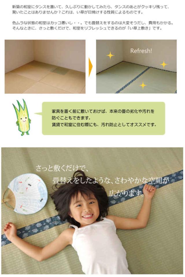 代引不可 い草 上敷きカーペット ござ 本間8畳 約382×382cm 九州産い草使用 畳の日焼けや汚れ防止に 調湿 消臭 抗菌防臭 両面 コンパクト収納 双目織 ほほえみ 純国産 日本製 IKEHIKO 1104288_2