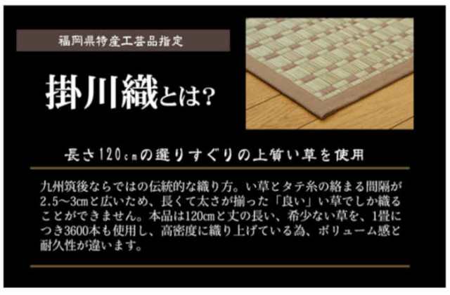 北海道・沖縄・離島配送不可 代引不可 い草 ラグ カーペット マット